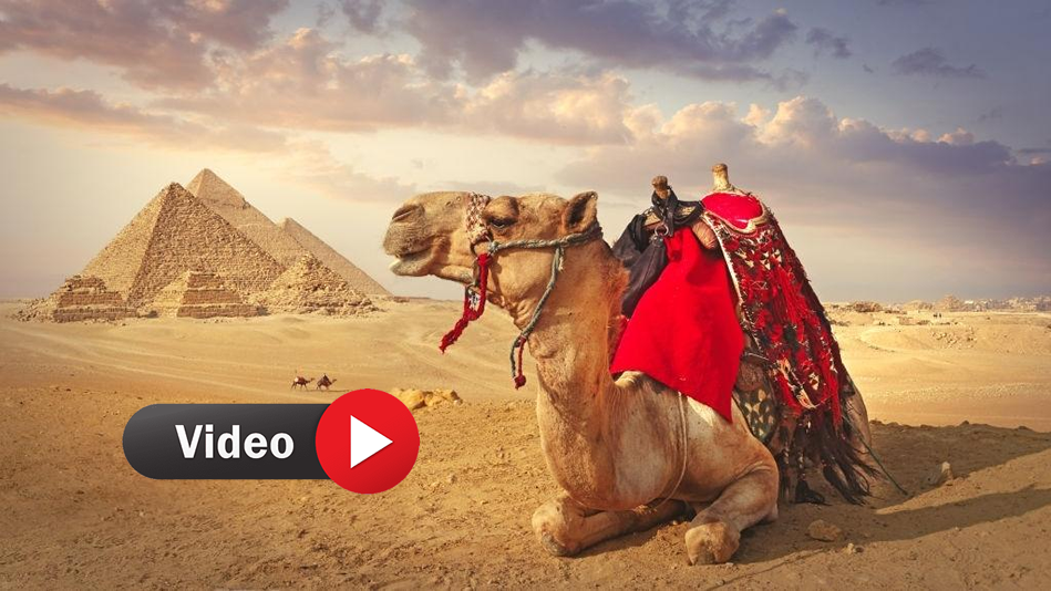 Video Egypt Travel Holiday