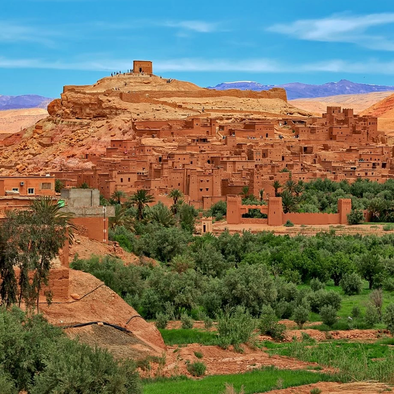 Oasi Morocco